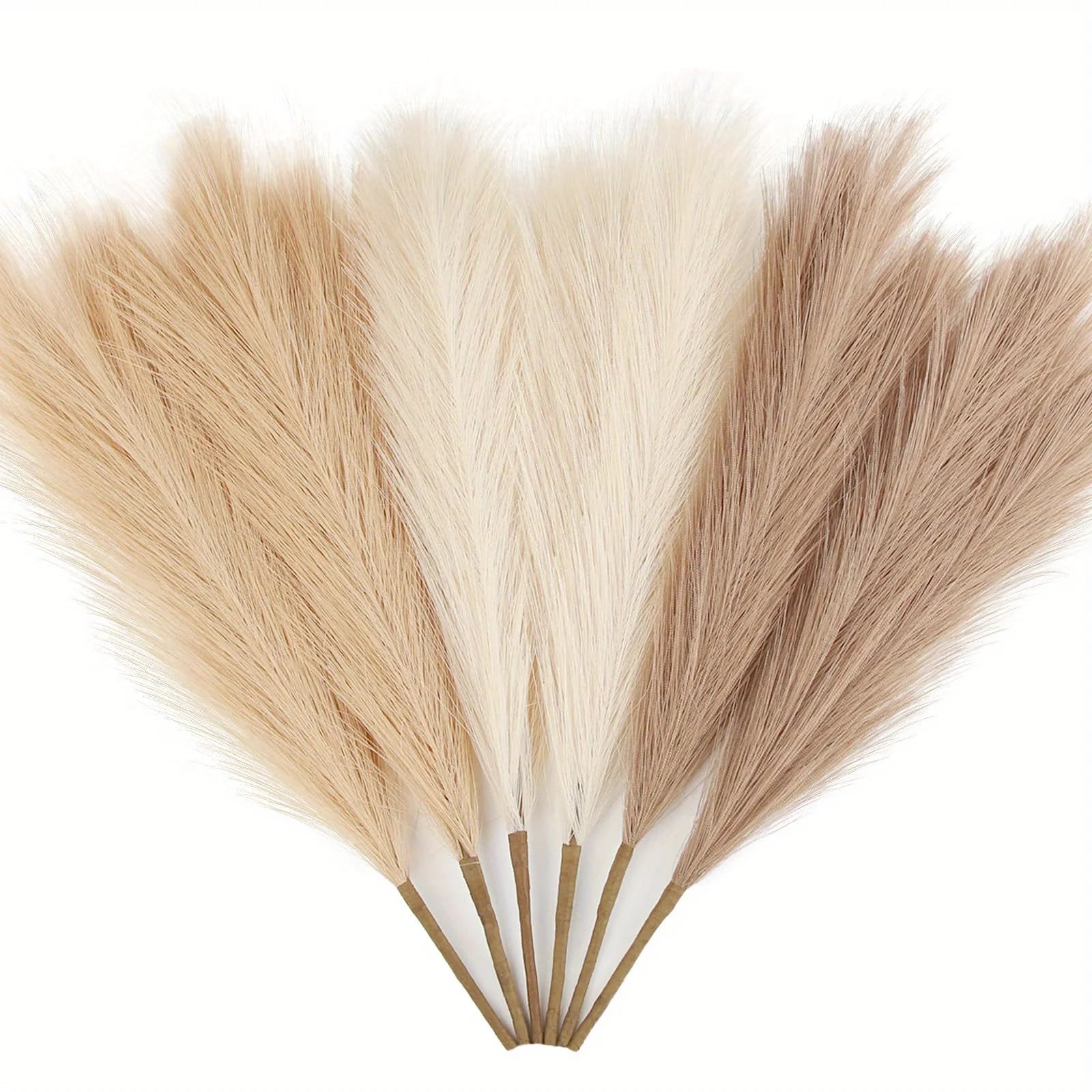 Set of dried pampas grass in various shades of brown and beige on a white background