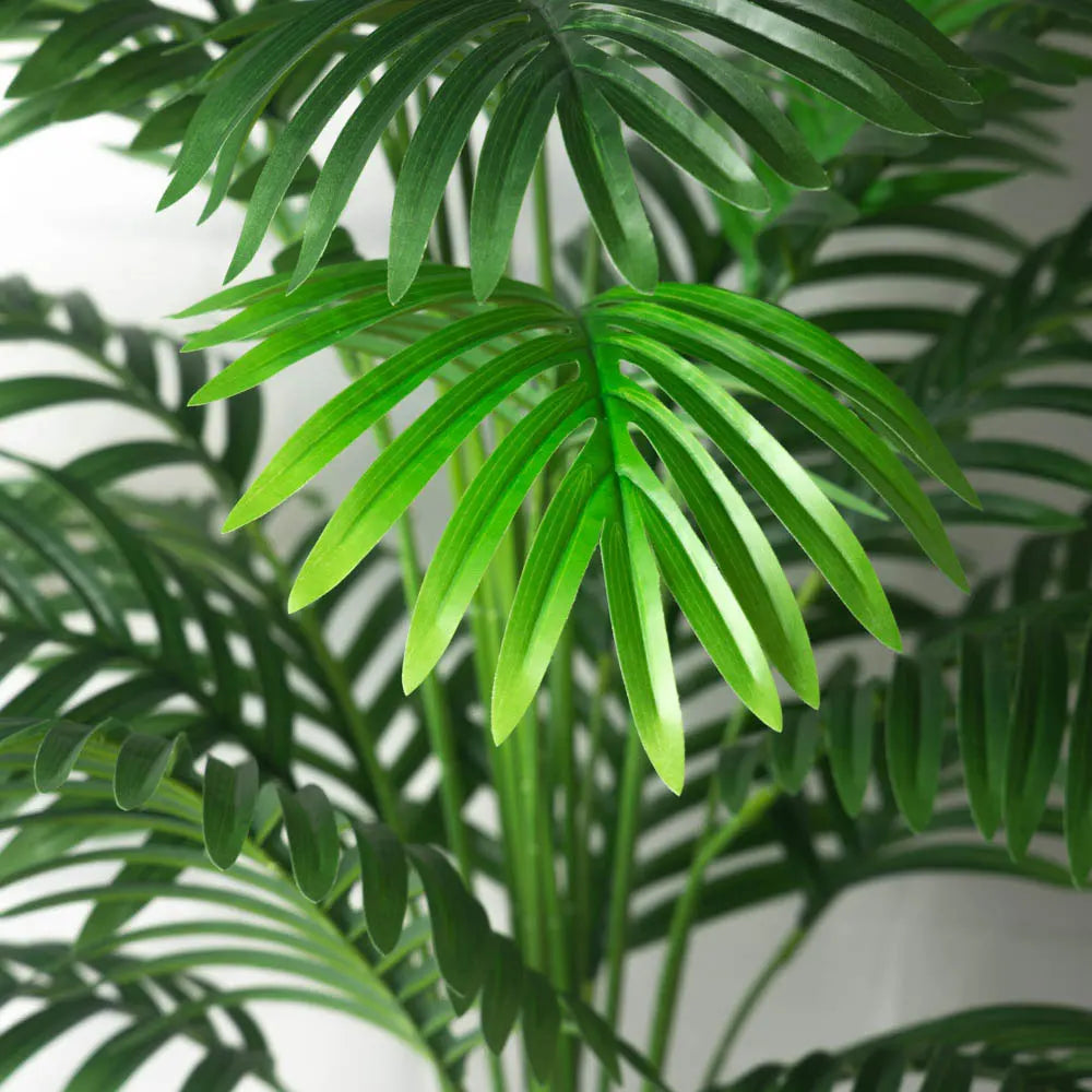 Close-up of green palm leaves with a blurred background