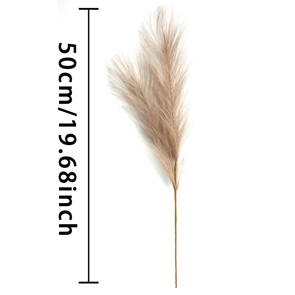 Pampas grass with measurement label on a white background